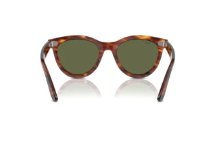 Vista posteriore Ray-Ban WAYFARER WAY (RB2241 - 954/58)