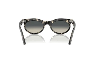 Vista posteriore Ray-Ban WAYFARER OVAL (RB2242 - 133371)