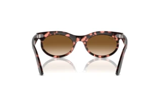 Vista posteriore Ray-Ban WAYFARER OVAL (RB2242 - 133451)