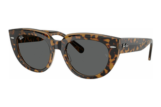 Ray-Ban RB2286 1292B1