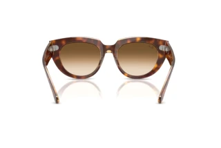 Vista posteriore Ray-Ban DOREEN (RB2286 - 141451)