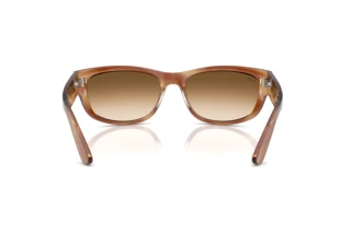 Vista posteriore Ray-Ban MEGA BALORAMA (RB2289 - 140351)