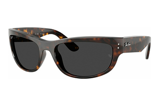 Ray-Ban RB2289 902/48