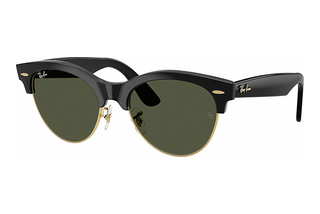 Ray-Ban RB2341 901/31