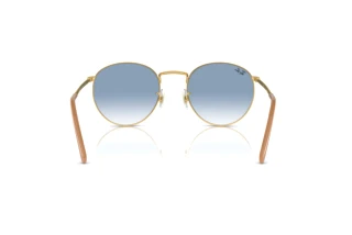 Vista posteriore Ray-Ban NEW ROUND (RB3637 - 001/3F)