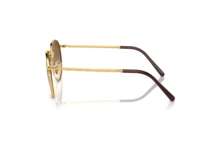 Vista laterale Ray-Ban NEW ROUND (RB3637 - 001/51)