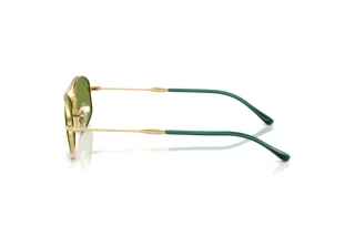 Vista laterale Ray-Ban RB3719 (001/4E)