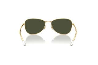Vista posteriore Ray-Ban RB3733 (001/31)