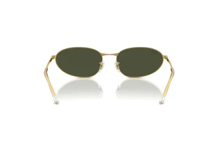 Vista posteriore Ray-Ban RB3734 (001/31)