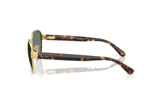 Vista laterale Ray-Ban RB3766CH (001/O9)
