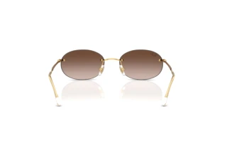 Vista posteriore Ray-Ban RB3767 (001/13)
