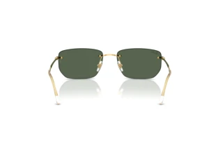 Vista posteriore Ray-Ban RB3768 (001/71)
