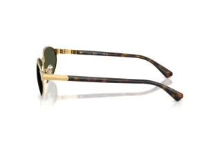 Vista laterale Ray-Ban RB3777 (001/31)