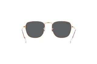 Vista posteriore Ray-Ban FRANK (RB3857 - 9202B1)