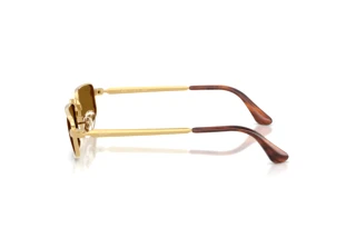 Vista laterale Ray-Ban RB3927 (001/33)