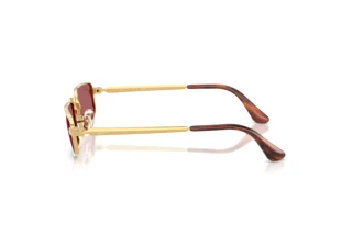 Vista laterale Ray-Ban RB3927 (001/AF)