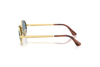 Vista laterale Ray-Ban RB3931 (001/56)