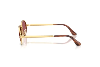 Vista laterale Ray-Ban RB3931 (001/AF)