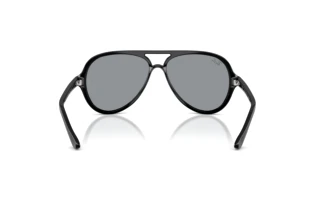 Vista posteriore Ray-Ban CATS 5000 (RB4125 - 601/R5)