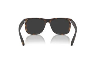 Vista posteriore Ray-Ban JUSTIN (RB4165 - 865/87)