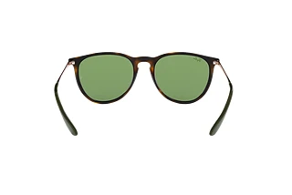 Vista posteriore Ray-Ban ERIKA (RB4171 - 6393/2)