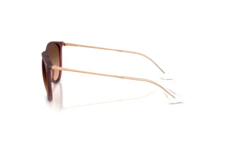 Vista laterale Ray-Ban ERIKA (RB4171 - 6815A5)