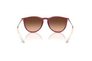 Vista posteriore Ray-Ban ERIKA (RB4171 - 6815A5)