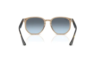 Vista posteriore Ray-Ban RB4306 (6788V1)