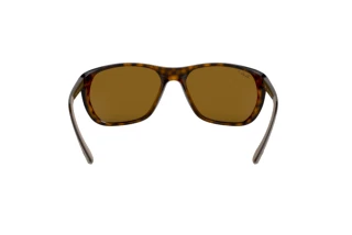 Vista posteriore Ray-Ban RB4307 (710/83)
