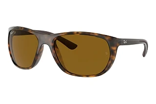 Vista frontale Ray-Ban RB4307 (710/83)