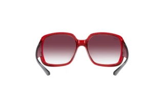 Vista posteriore Ray-Ban POWDERHORN (RB4347 - 66628H)