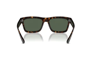 Vista posteriore Ray-Ban WARREN (RB4396 - 135971)