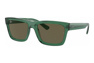 Ray-Ban RB4396 6681/3 BrownTransparent Green