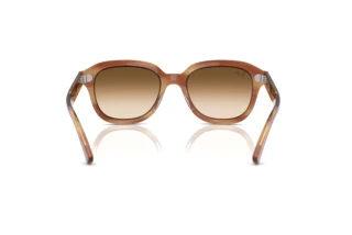 Vista posteriore Ray-Ban ERIK (RB4398 - 140351)
