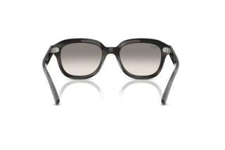Vista posteriore Ray-Ban ERIK (RB4398 - 140432)