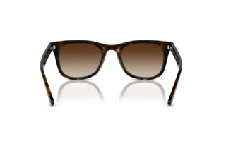 Vista posteriore Ray-Ban RB4420 (710/13)