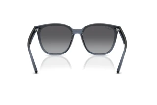 Vista posteriore Ray-Ban RB4423D (6592T3)