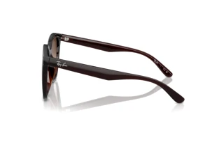 Vista laterale Ray-Ban RB4423D (714/13)