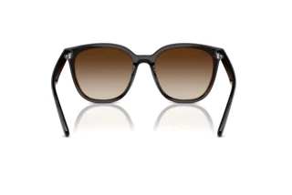 Vista posteriore Ray-Ban RB4423D (714/13)