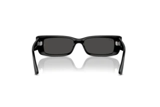 Vista posteriore Ray-Ban TERU (RB4425 - 667787)