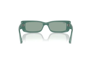 Vista posteriore Ray-Ban TERU (RB4425 - 676282)