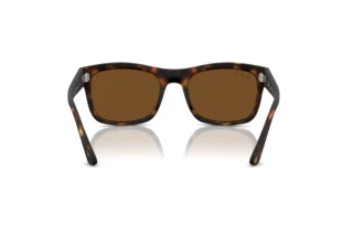 Vista posteriore Ray-Ban RB4428 (894/57)