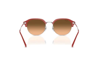 Vista posteriore Ray-Ban RB4429 (67223B)