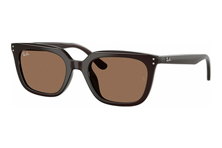 Ray-Ban RB4439D 623173