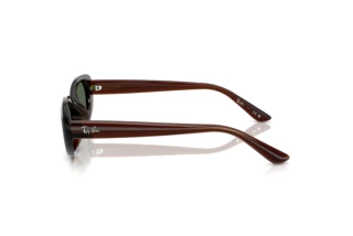 Vista laterale Ray-Ban RB4441D (714/71)