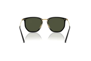 Vista posteriore Ray-Ban RB4451 (630631)