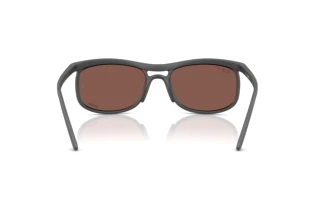 Vista posteriore Ray-Ban RB4452CH (60171A)
