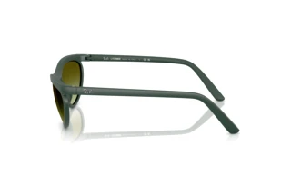 Vista laterale Ray-Ban RB4453 (6016E8)