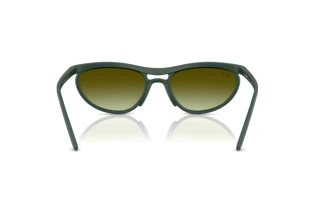 Vista posteriore Ray-Ban RB4453 (6016E8)