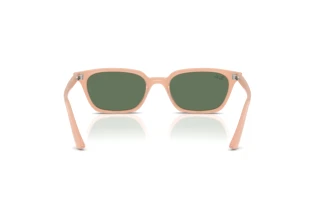 Vista posteriore Ray-Ban ZAYA (RB4456 - 681182)
